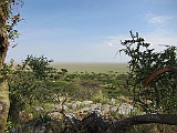 View in Serengeti